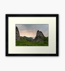 Raw Framed Print