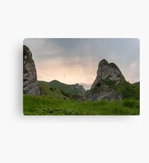 Raw Canvas Print