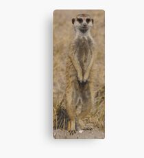 Meercat under Review Canvas Print