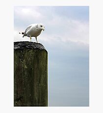 A New York Attitude Photographic Print