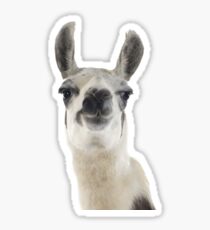 llama Sticker