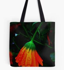strange beacon Tote Bag