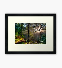 good morning Framed Print