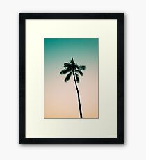 Palme Gerahmtes Wandbild