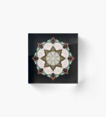 Natural Abstract Symmetry Acrylic Block