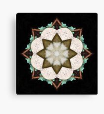 Natural Abstract Symmetry Canvas Print