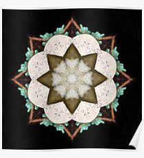 Natural Abstract Symmetry Poster