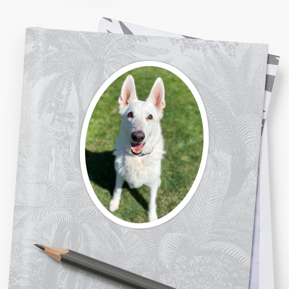 "Jack the TikTok Dog (Standing in the Grass)" Sticker by