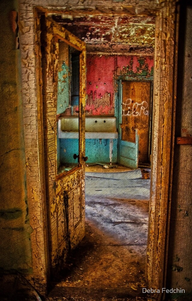 "All This and the Kitchen Sink Too" by Debra Fedchin Redbubble