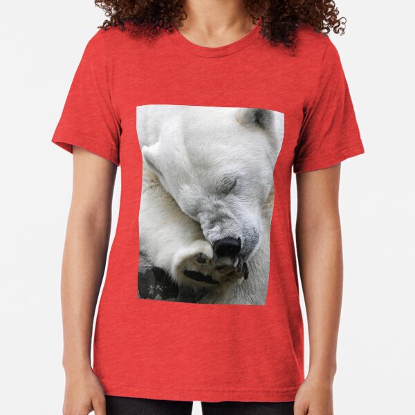 Itch Tri-blend T-Shirt
