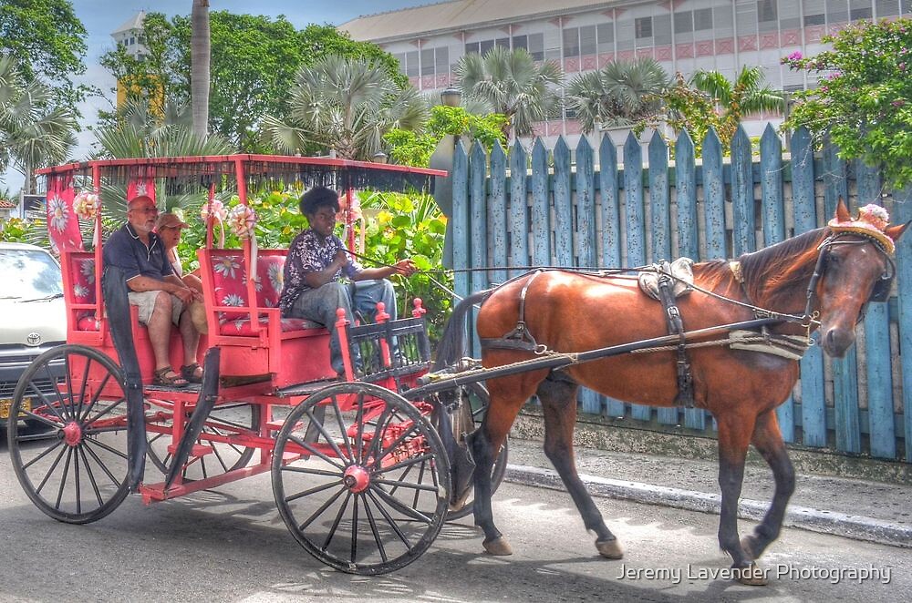 "Horse Carriage Tour in Nassau, The Bahamas" by Jeremy Lavender