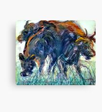 Bovine Canvas Print
