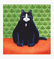 Nobby Photographic Print