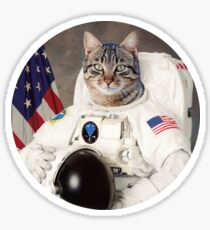 ASTRO CAT Sticker