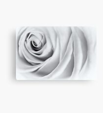 Innocence.... Canvas Print