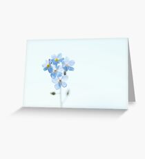 Forget-Me-Not Greeting Card