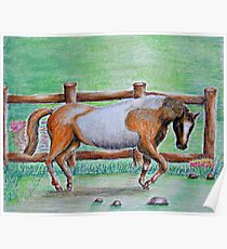 brown horse Poster