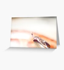 Snake Tongue Greeting Card