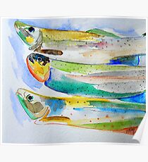 Pesce Fresco Poster