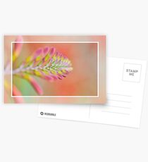Summer Garden Flame Postcards