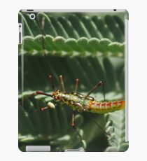Unknown Insect iPad Case/Skin