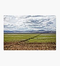 Fence Photographic Print