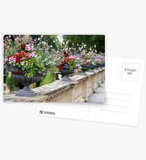 Insel Mainau Postcards