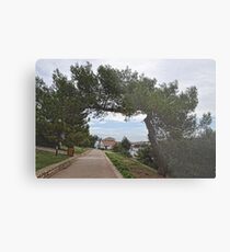Park Plazza Hotel Grounds Croatia Metal Print
