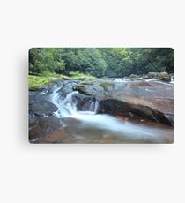 Brevard Canvas Print