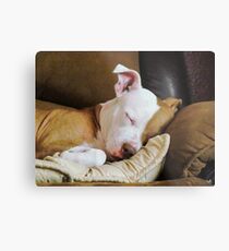 Snuggle Bug Metal Print