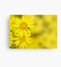 Summer Garden Metal Print
