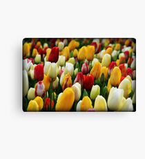 multicultural Canvas Print