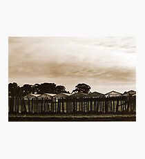 Dull and Brown Photographic Print