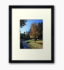 Queenstown Gardens Framed Print
