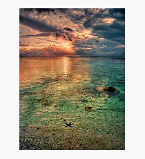 Starfish sunset Photographic Print