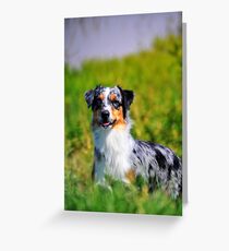 Gracie Greeting Card