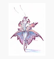 orchid mantis Photographic Print