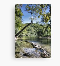 Blue Spring at Hammond Camp Canvas Print