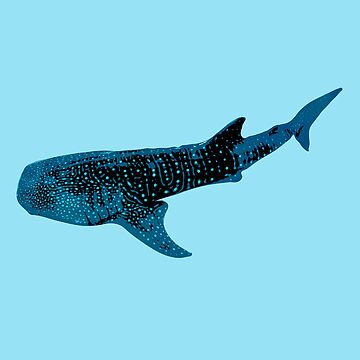 Whale Shark Plus Size Leggings, Pop Style