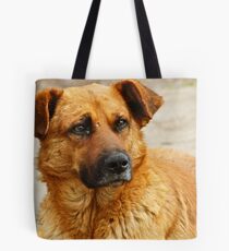 Pup eyes Tote Bag