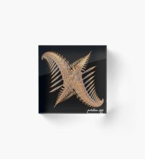 "EXERCISE Jumping Jacks" Acrylic Block