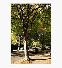 Sunlit Street Photographic Print