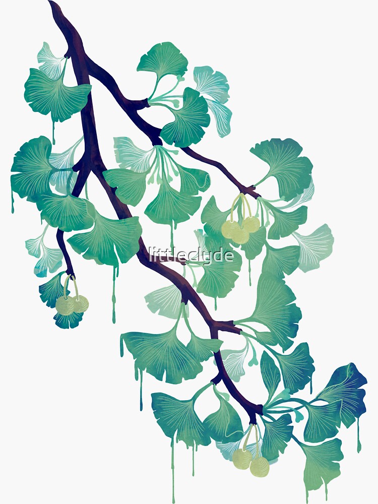 O Ginkgo (in Green) by littleclyde
