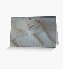 Heatwave Greeting Card