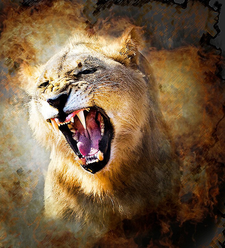 "FIRE IN HIS SPIRIT (lion)" by RonelBroderick | Redbubble