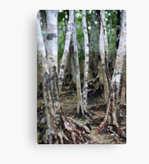 Mangroves Canvas Print