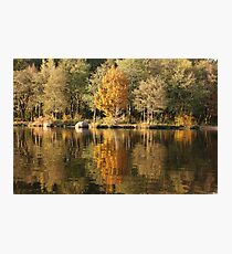 fall Photographic Print