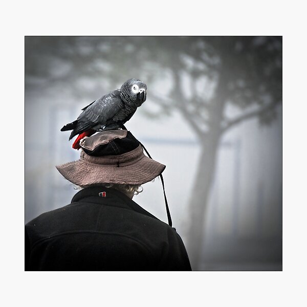 I always wear a bird on my head Photographic Print