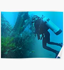 THE DIVE GUIDE Poster