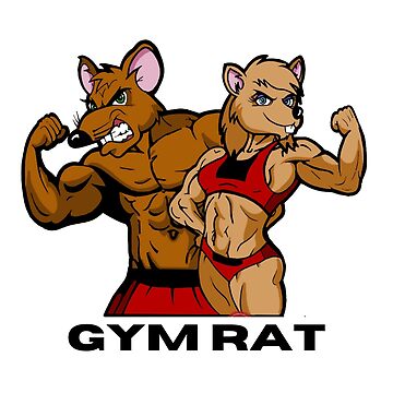 Gym Rat' Poster, picture, metal print, paint by Mesh